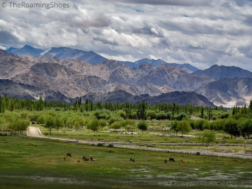 The Roaming Shoes: Exploring the Best Places to Visit in Ladakh and Nepal Tourist Places